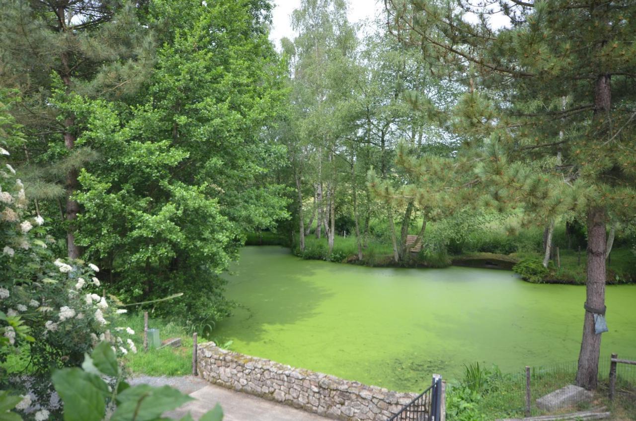 Le Moulin De Charin Bed and Breakfast La Pommeraie-sur-Sèvre Esterno foto